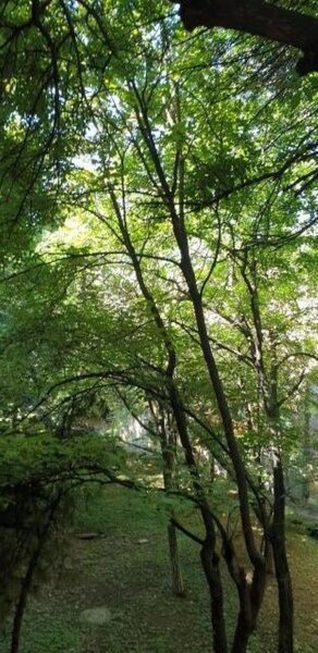 Constantin Brincoveanu, 350 euro, inchiriere apartament 2 camere, 37 mp